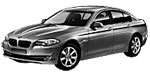 BMW F10 P0546 Fault Code